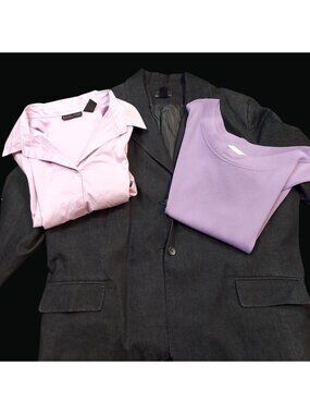 Womens Grey Blazer & Light Purple Button-Up Shirt Set of Two Size 3X